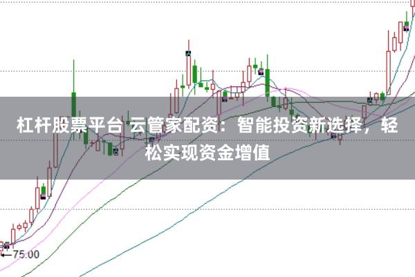 杠杆股票平台 云管家配资：智能投资新选择，轻松实现资金增值
