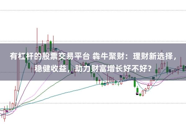有杠杆的股票交易平台 犇牛聚财：理财新选择，稳健收益，助力财富增长好不好？