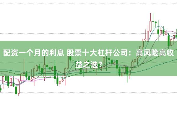 配资一个月的利息 股票十大杠杆公司：高风险高收益之选？