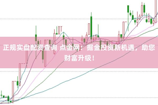 正规实盘配资查询 点金网：掘金投资新机遇，助您财富升级！