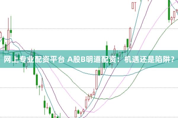 网上专业配资平台 A股B明道配资：机遇还是陷阱？