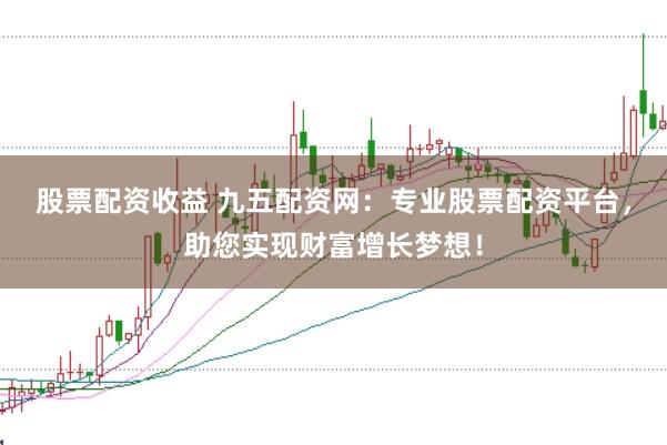 股票配资收益 九五配资网：专业股票配资平台，助您实现财富增长梦想！