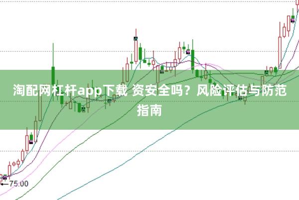 淘配网杠杆app下载 资安全吗？风险评估与防范指南