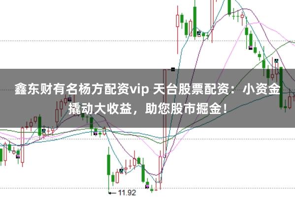 鑫东财有名杨方配资vip 天台股票配资：小资金撬动大收益，助您股市掘金！