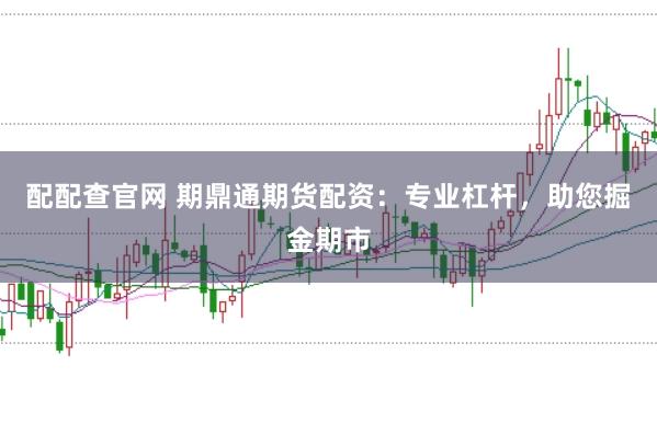 配配查官网 期鼎通期货配资：专业杠杆，助您掘金期市