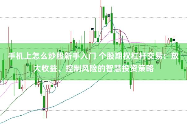 手机上怎么炒股新手入门 个股期权杠杆交易：放大收益、控制风险的智慧投资策略
