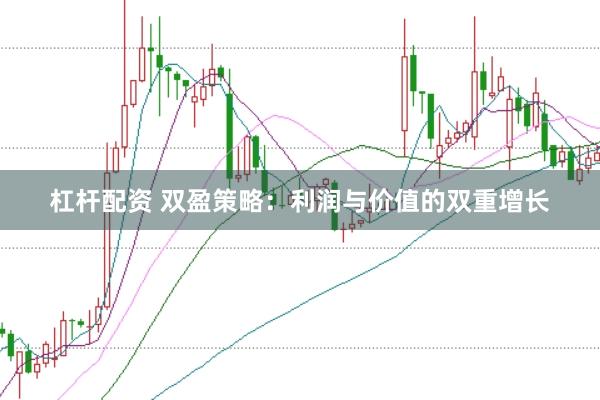 杠杆配资 双盈策略：利润与价值的双重增长