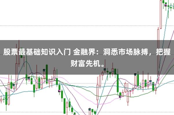 股票最基础知识入门 金融界：洞悉市场脉搏，把握财富先机。
