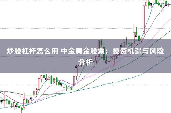 炒股杠杆怎么用 中金黄金股票：投资机遇与风险分析