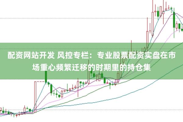 配资网站开发 风控专栏：专业股票配资实盘在市场重心频繁迁移的时期里的持仓集