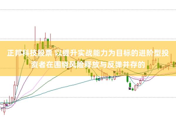 正邦科技股票 以提升实战能力为目标的进阶型投资者在围绕风险释放与反弹并存的