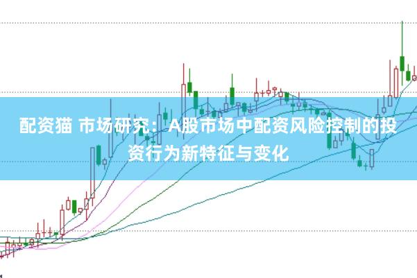 配资猫 市场研究：A股市场中配资风险控制的投资行为新特征与变化
