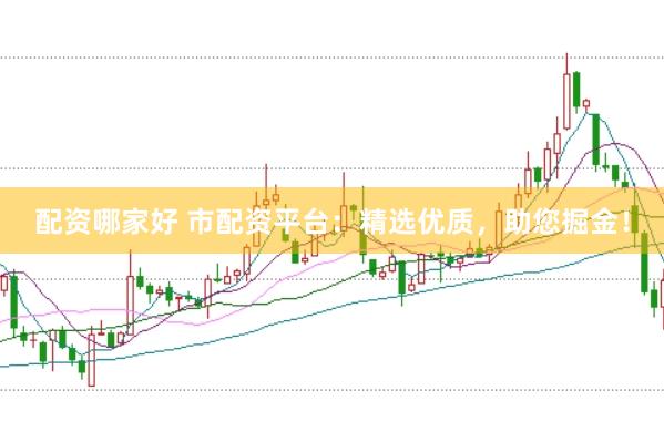 配资哪家好 市配资平台：精选优质，助您掘金！