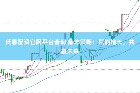 低息配资官网平台查询 鼎坤策略：赋能增长，共赢未来