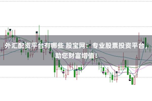 外汇配资平台有哪些 股宝网：专业股票投资平台，助您财富增值！