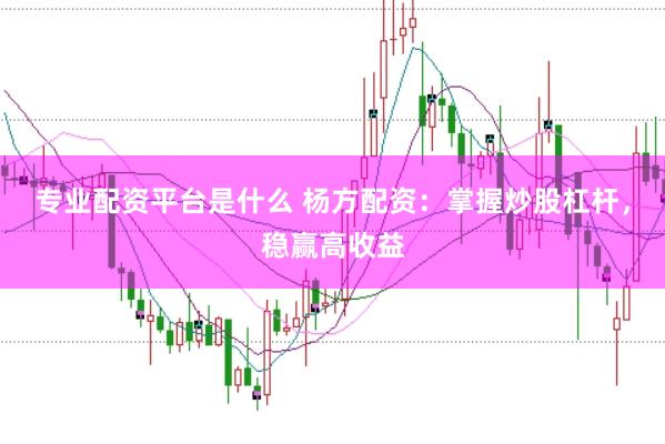 专业配资平台是什么 杨方配资：掌握炒股杠杆，稳赢高收益