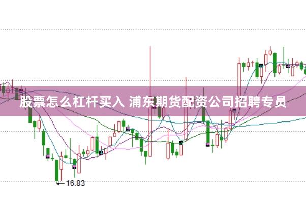 股票怎么杠杆买入 浦东期货配资公司招聘专员
